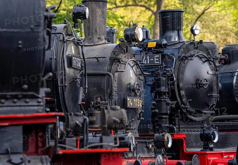 Ring locomotive shed with many historic steam locomotives in the Bochum Railway Museum, museum days weekend, with many attractions such as steam locomotive rides, 3 locomotives are under steam, historic trains make round trips through the Ruhr Valley, many locomotives are on display, on the site of the former Dahlhausen railway depot, North Rhine-Westphalia, Germany