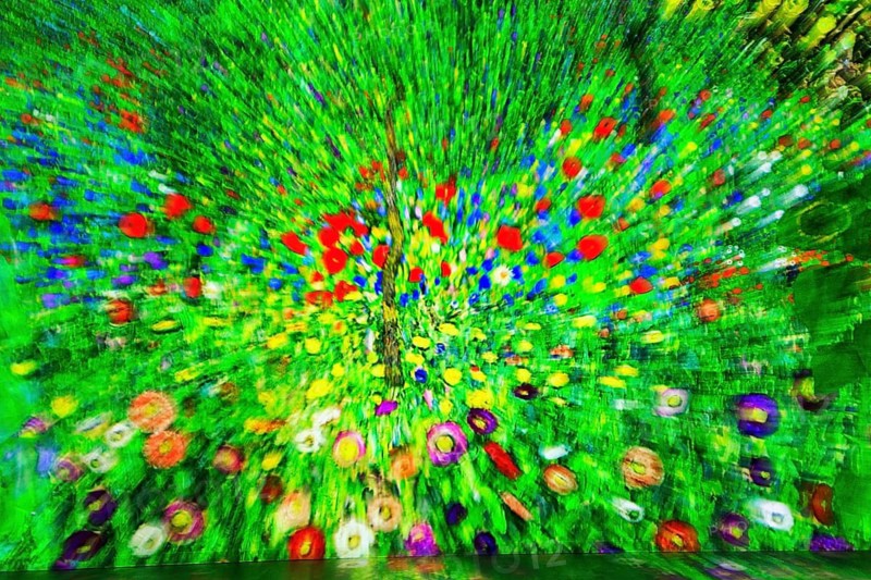 Blossom carpet, green flower meadow, abstract, immersive exhibition, digital art, famous paintings, colorful projections on walls, Gustav Klimt, motion blur, art museum, Port des Lumieres, Westfield Überseequartier, Hafencity, Hamburg, Germany