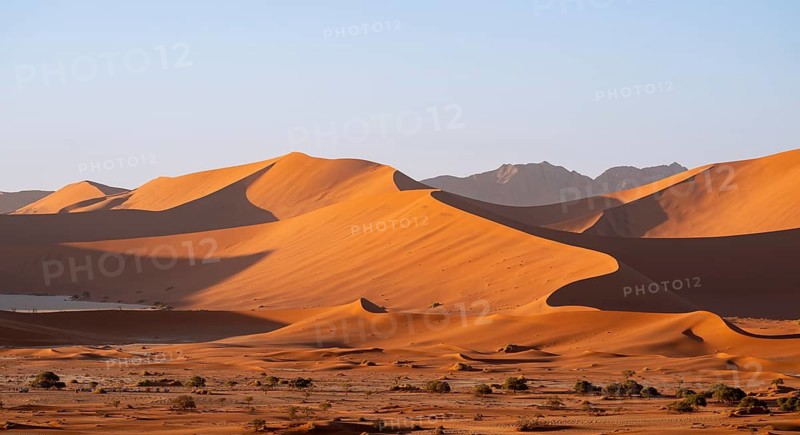 Barren vegetation between red-yellow Namib sand dunes, Namib Desert, Namib-Naukluft National Park, Namibia