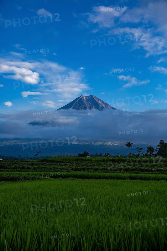 A volcano rises in the clouds above green fields, under a blue sky, a peaceful natural landscape, volcano, Sumatra, Jakarta, Indonesia