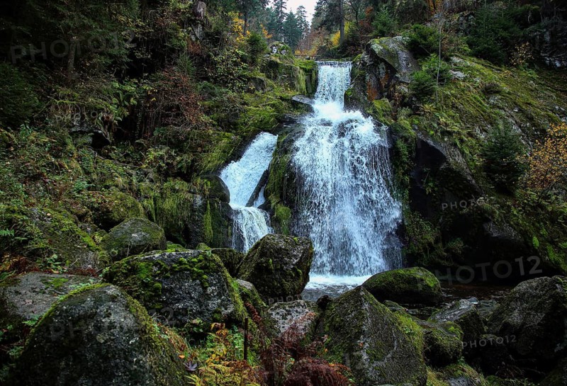 Impressive waterfall with moss-covered rocks and surrounded by dense forest, upper part of the Triberg Waterfall, Black Forest-Baarkreis, Baden-Württemberg, Germany