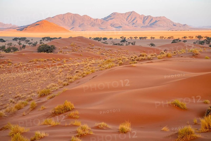 Evening, dry landscape in the NamibRand Nature Reserve, Naukluft Mountains behind, Namib Desert, Namibia
