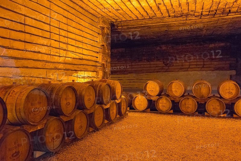 Tranquil scene of stacked wooden barrels in an atmospherically lit cellar, wine cellar, Milestii Mici winery, Mile?tii Mici, Republic of Moldova, Moldova