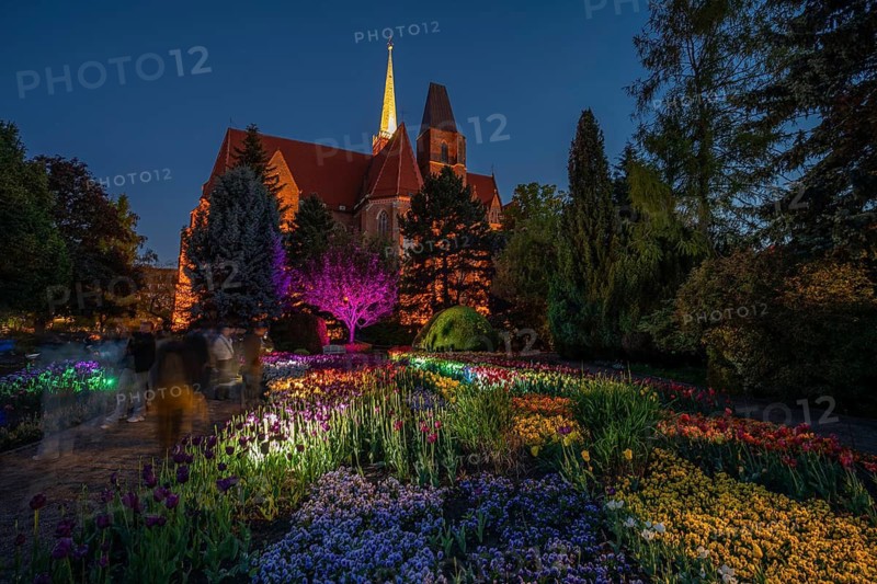 Night view of illuminated flower beds and trees in a botanical garden with a historic cathedral in the background in Wroclaw, Poland