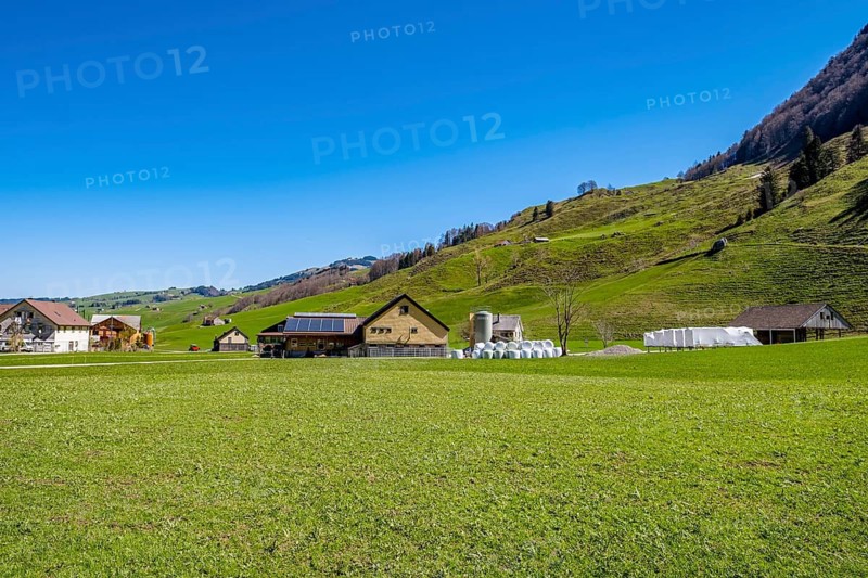 Green meadow with a farm in the foreground, surrounded by rolling hills and clear skies, Appenzell, Switzerland