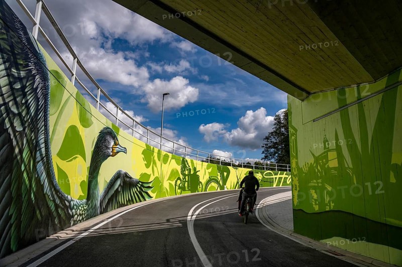 New bicycle tunnel at the junction of the B51 and Warendorfer Straße, in Münster, a bicycle and pedestrian tunnel, 150 metres long, 5.50 metres wide, crosses under the busy roads so that cyclists and pedestrians can pass without crossing, route to and from Münster city centre, visually designed with local motifs as murals, by Lackaffen.de, modern bicycle infrastructure, North Rhine-Westphalia, Germany