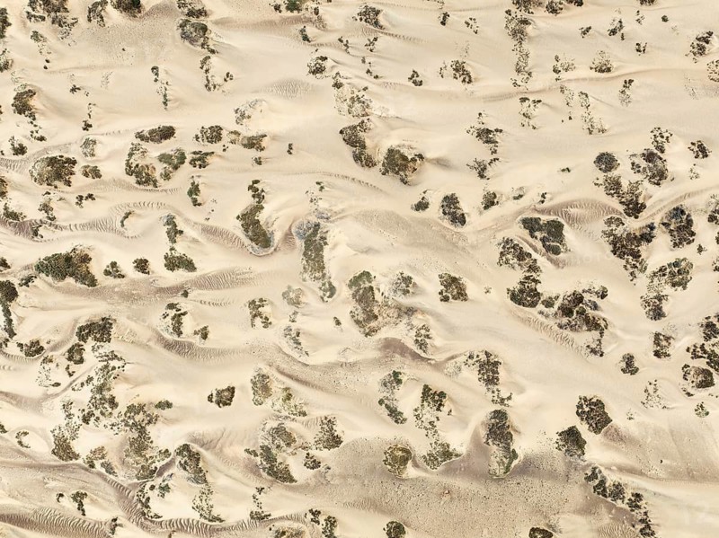 Sand hummocks caused by dwarf shrubs. Aerial view. Drone shot. Namib Desert, Skeleton Coast, Namibia