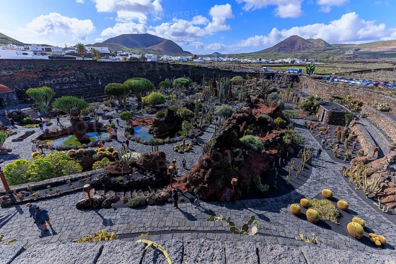 Lanzarote, Canary Islands, Spain, Europe, Cesar Manrique Jardin de Cactus near Guatiza, panoramic view of a cactus garden in volcanic surroundings with mountains in the background