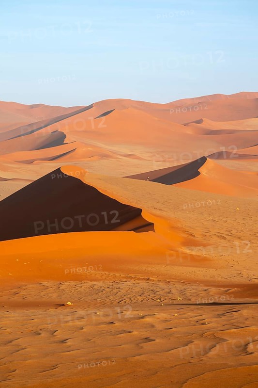 Red and yellow sand dunes of the Namib, Namib Desert, Namib-Naukluft National Park, Namibia