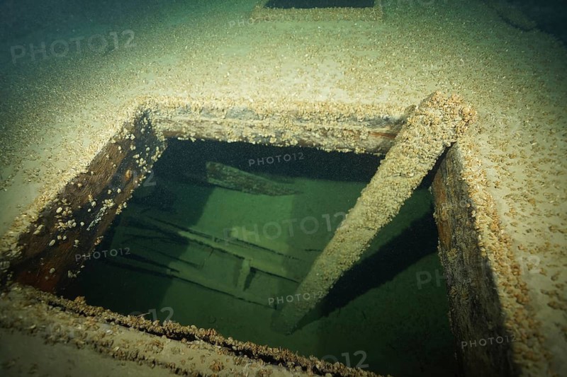 Underwater view of a rectangular opening in a shipwreck, overgrown with quagga mussels (Dreissena rostriformis bugensis), an invasive species, dive site: the Jura wreck, Lake Constance, Bottighofen, Switzerland, Münsterlingen, Germany