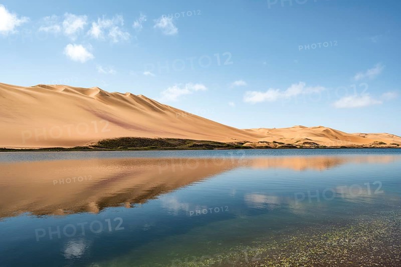 Sand dunes are reflected in the lagoon at Sandwich Harbour, Namib Naukluft Park, Namib Desert, Namibia