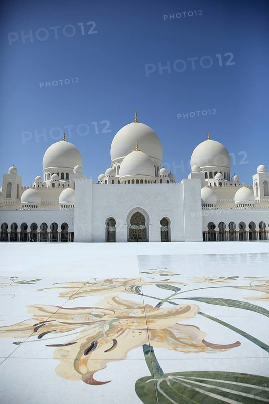 White mosque with filigree floral pattern in the foreground and clear blue sky, Sheik Zayed Mosque, Sheikh Zayed Mosque, Grand Mosque, Abu Dhabi, Middle East, Emirate, United Arab Emirates, UAE, island in the Persian Gulf, peninsula, exterior view, blue sky, white mosque