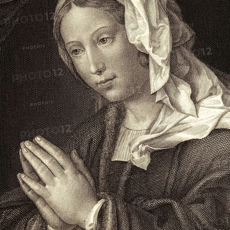 Detail from the painting The Praying Woman by Hanns Holbein the Younger, portrait, woman praying, prayer, devotion, Christian faith, religious art, Renaissance, German Renaissance, portrait painting, religious art, Christian iconography, hands to prayer, spirituality, humility, reflection, expression, richness of detail, oil painting, 16th century, art history, masterpiece, humanist art, religious illustration, headscarf, historical illustration 1854