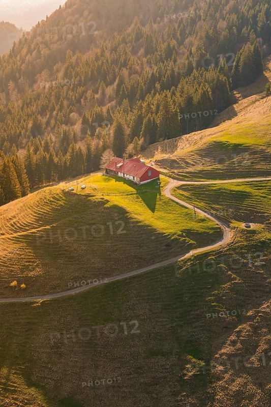 A secluded house on a sunny hill in the middle of a dense forest, Allgäu, Bavaria, Germany