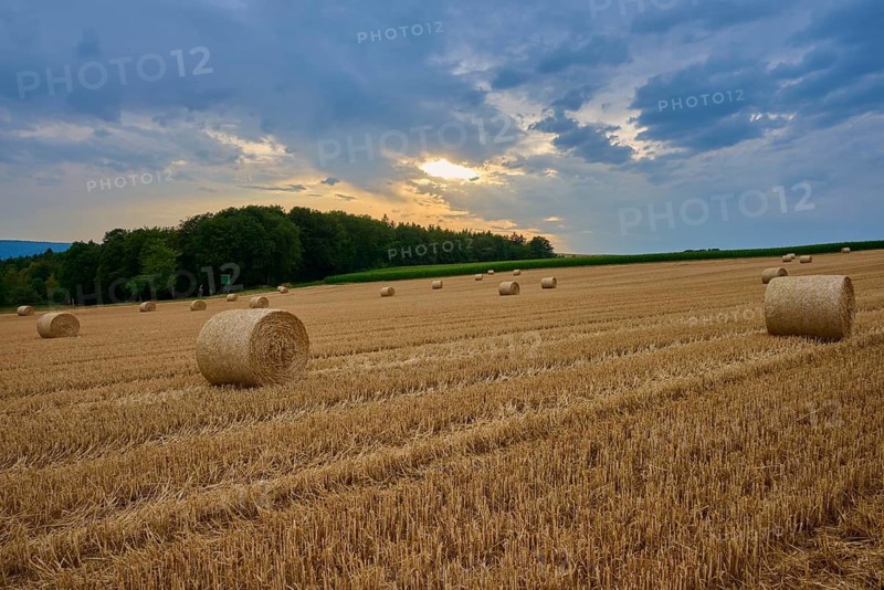 Straw bales in fields under cloudy sky at dusk, summer, Reichartshausen, Amorbach, Odenwald, Bavaria, Germany