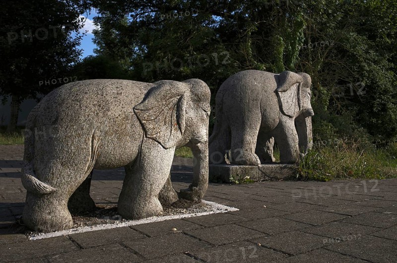 Small elephants, sculptures, figurines, Blaubeuren, Swabian Jura, Baden-Württemberg, Germany