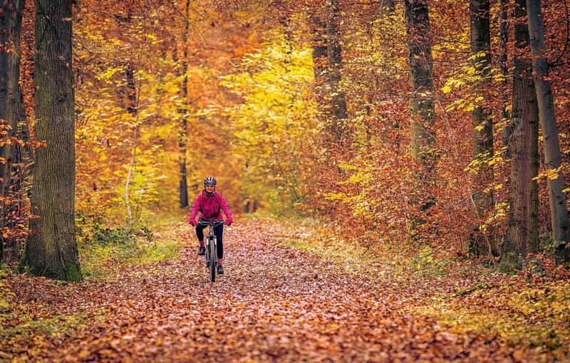 Nice senior woman riding her electric mountainbike on the autumnal forest trails near Stuttgart, Baden-Wuerttemberg, Germany