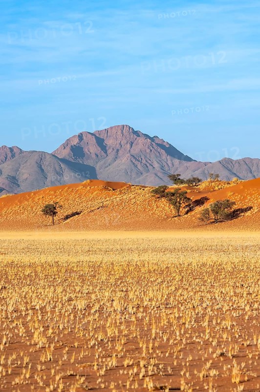 Dunes, landscape in the NamibRand Nature Reserve, in the back Naukluft Mountains, Namib Desert, Namibia