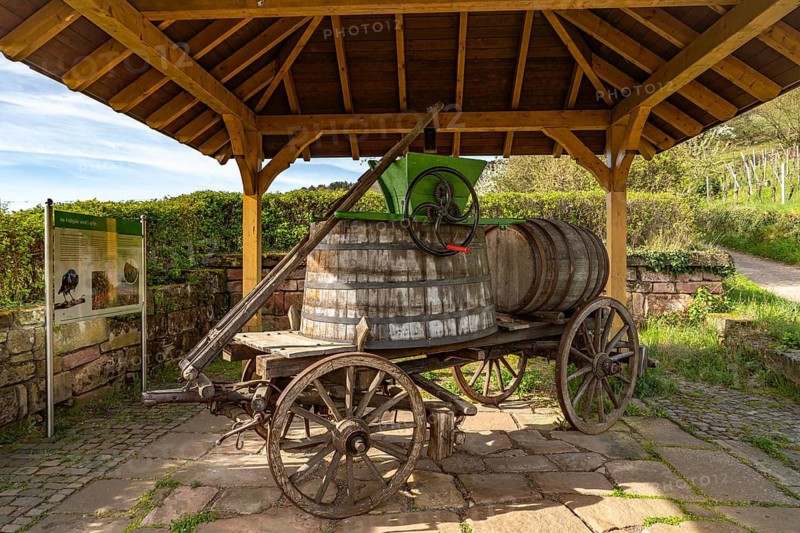 Historic carriage with wooden barrels in the vineyard near Sankt Martin, Southern Wine Route, Rhineland-Palatinate, Germany