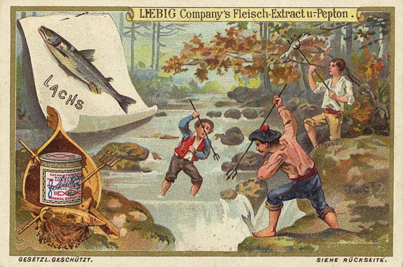 Fishing picture series, map illustrating traditional salmon fishing in flowing water. It shows fishermen hunting for salmon in a river with trident spears, harpoons, Liebigbild, digitally restored reproduction of a collector's painting from around 1900, exact date unknown