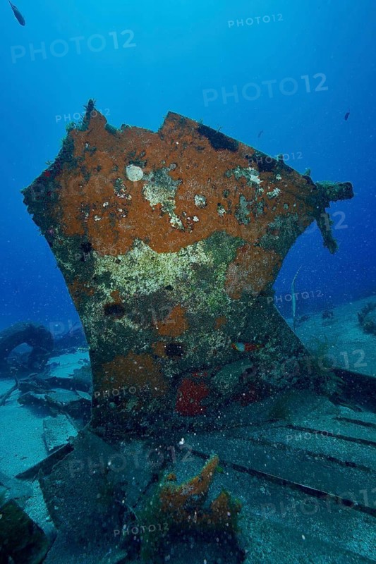 A vertical, rusty piece of wreck surrounded by sand and marine life, meteor wreck dive site, Russian hydrofoil, Arguineguin, Gran Canaria, Spain, Europe, Atlantic