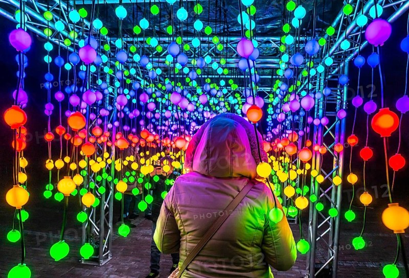 Park lights, winter event, in the Grugapark in Essen, many different light installations, across the park, attract many thousands of visitors, light work of art consisting of many hundreds of hanging ball lamps, LEDs, with changing colors, accessible, North Rhine-Westphalia, Germany