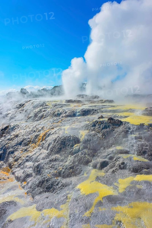 Prince of Wales and Pohutu geysers erupting, Te Puia Thermal Valley, Rotorua, Bay of Plenty, North Island, New Zealand