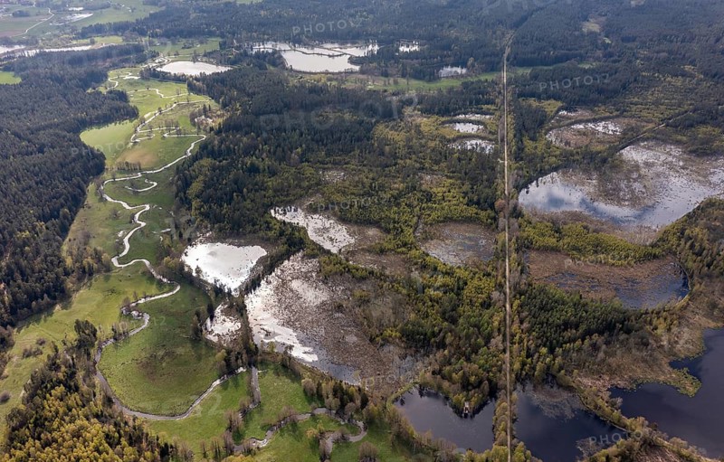 Bavaria, Upper Palatinate, Tirschenreuth, Waldnaab, Waldnaabaue, wild pastures Waldnaabaue, aerial view, aerial view