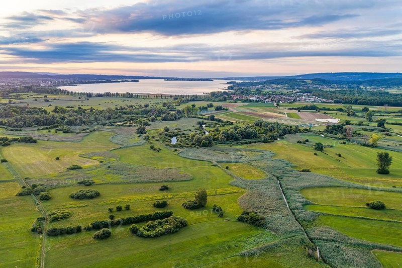 Morning atmosphere on Lake Constance. Cultural landscape in the Zeller Aachried nature reserve. aerial view. Radolfzell, Baden-Württemberg, Germany