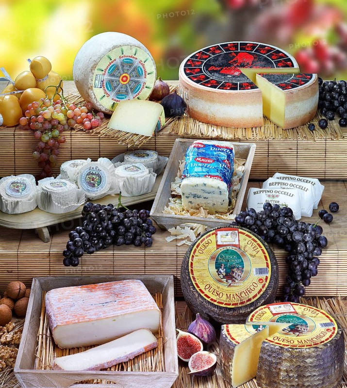 Selection of different types of cheese, studio shot