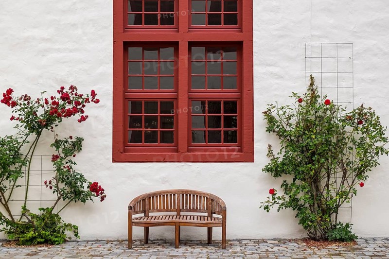 Wooden bench in front of a white wall with red windows and roses, harmonious place, Bad Iburg, Lower Saxony, Germany