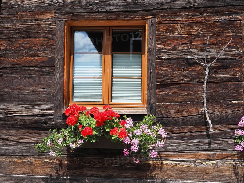 Rustic wooden house with decorated window and bright flowers in a box, Oberwald, Goms, Canton of Valais, Switzerland