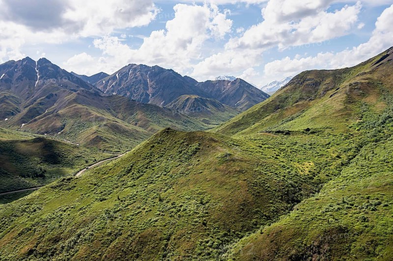 Tundra and mountainous landscape of the Alaska Range, Sable Pass, Denali National Park and Preserve, Alaska, USA