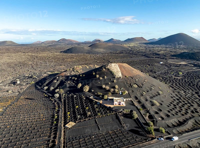 Typical drywall viticulture in volcanic landscape, on volcanic ash, lapilli, aerial view, vines, La Geria wine-growing region, Lanzarote, Canary Islands, Spain