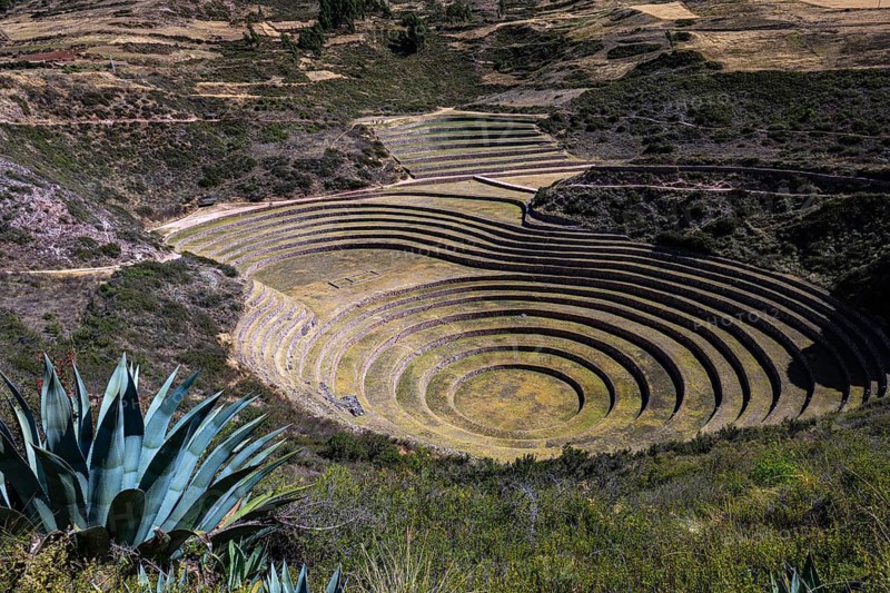 Circular, agricultural terraces of Moray, Inca agricultural laboratory for different microclimates, Inca architecture, Urubamba Valley, Cusco region, Andes, southern Peru, Peru, South America