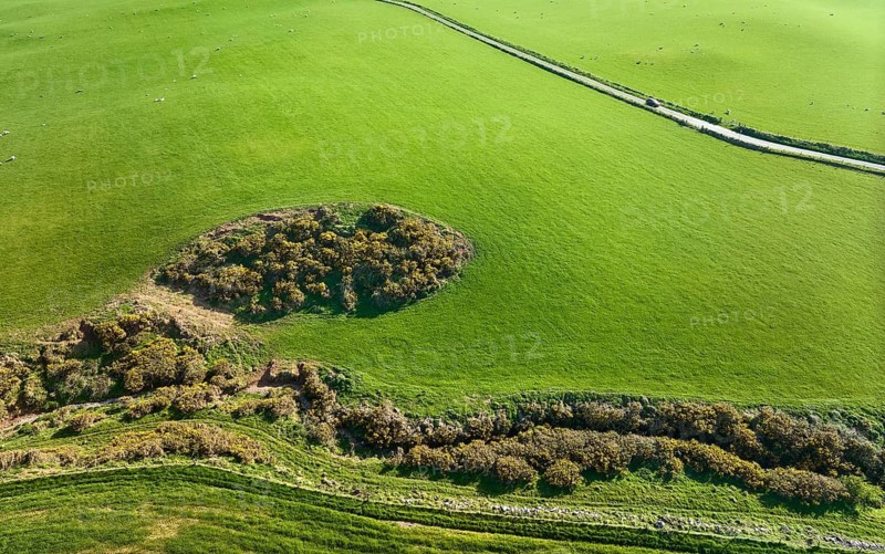 Aerial photo of the agricultural pasture landscape at the atlantic coast on the Mull of Galloway, Scotland, UK
