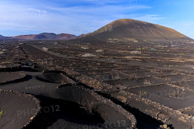 Lanzarote, Canary Islands, Spain, Europe, wine fields in La Geria, volcanic landscape with geometric lava structures under a blue sky