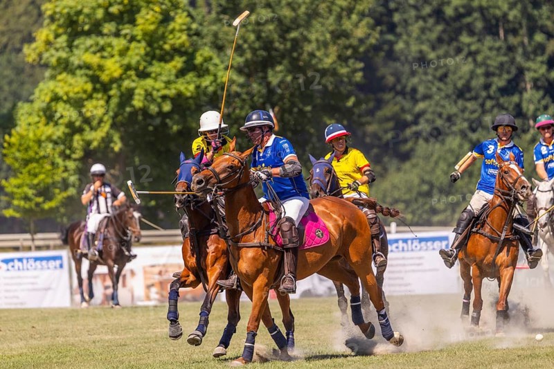 Polo player, polo horse, polo pony (Equus), rider, polo tournament, 1295 Polo Masters, Sylvenstal, Pfullendorf, Linzgau, Sigmaringen district, Baden-Württemberg, Germany