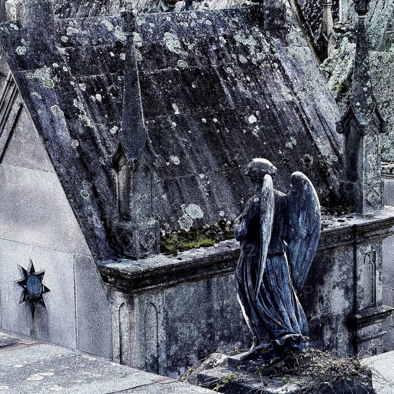 Cemitério da Lapa, Lapa Cemetery, European Cemetery Route, Association of Significant Cemeteries of Europe, abbreviated ASCE, Porto, Portugal