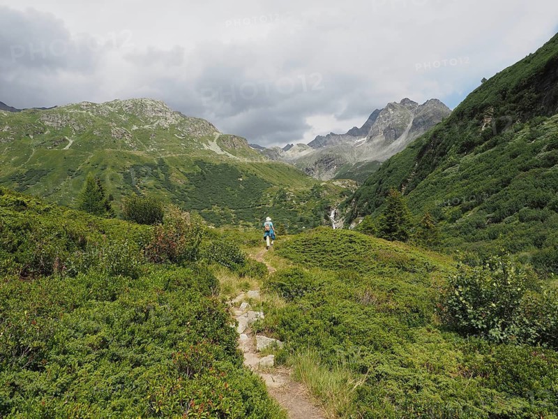 Female hiker follows a trail through green mountains with thick vegetation under cloudy skies, Binntal Landscape Park, Goms, Canton of Valais, Switzerland
