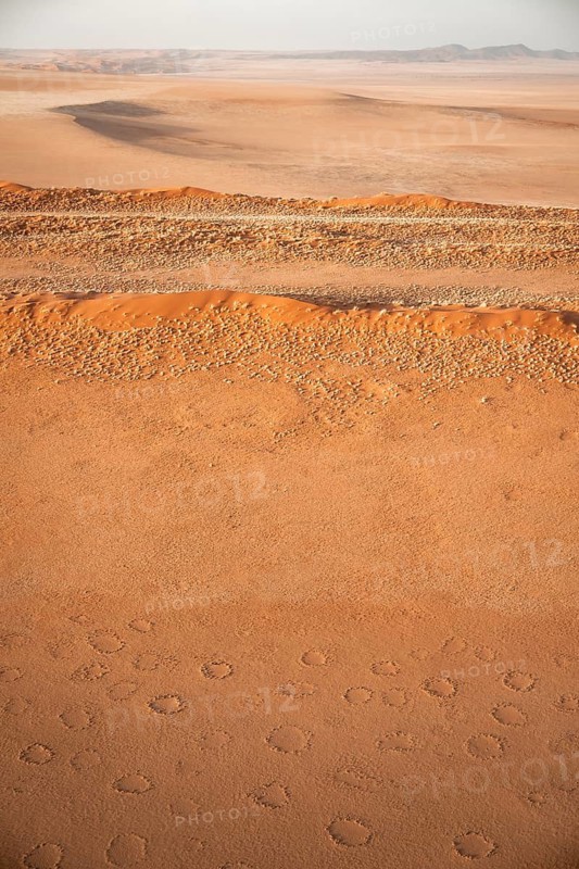 Sandy desert with Fairy Circles, circular areas, aerial view, Namib Desert, Namib Naukluft Park
