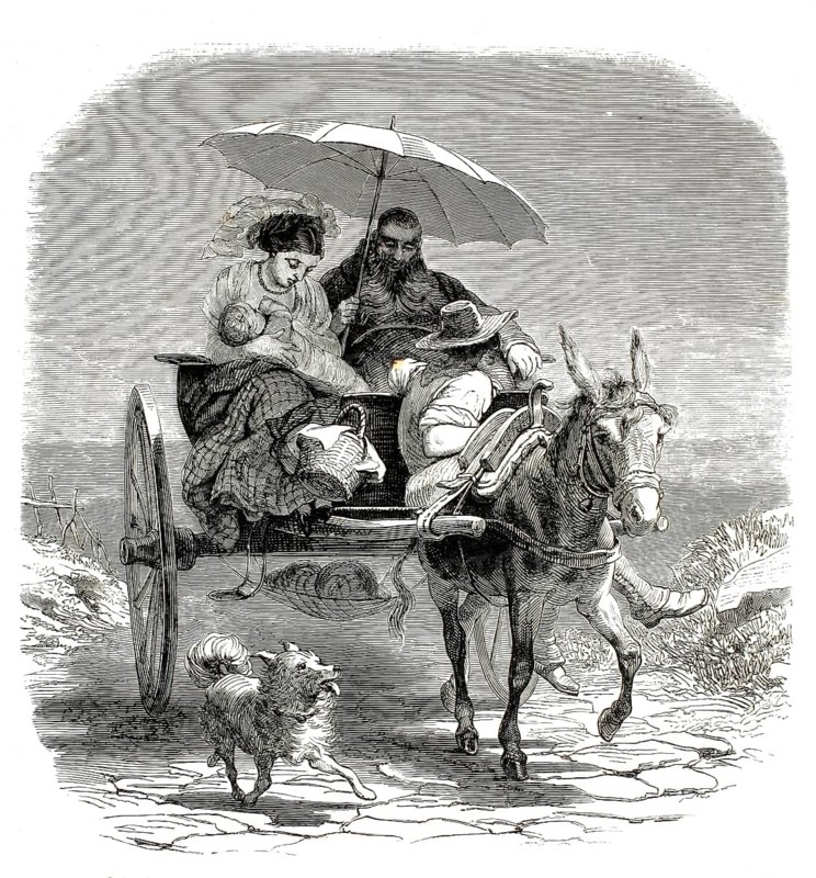 19th century scene in which a family travels with a donkey and a dog. On the cart, which is pulled by a donkey, sits a small family, consisting of a mother with an infant, a bearded man with a parasol and a coachman. The team is accompanied by a small dog that happily runs alongside, 1870, Naples, Italy, authentic, high-resolution reproduction from a 19th century model, exact date of depiction unknown, historical