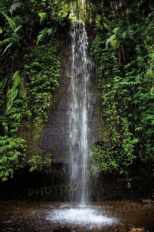 A tall waterfall surrounded by thick, green vegetation in the jungle, Tukad Cepung Waterfall, Bali, Indonesia
