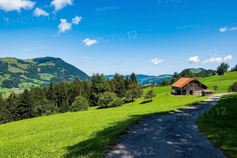 Idyllic summer landscape with mountains, meadows and a small house under a blue sky, stones, Canton of Schwyz, Switzerland