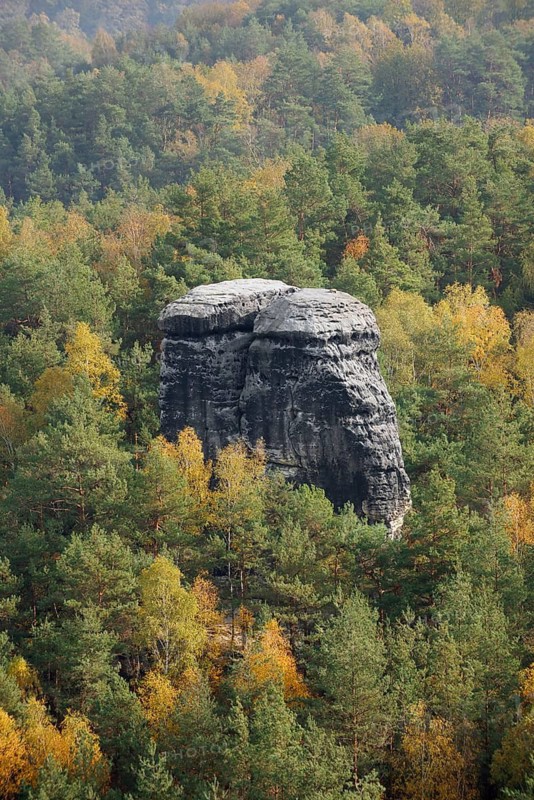 Nun or Nonnenstein and mixed forest in autumn, view from Rauenstein, Saxon Switzerland, Elbe Sandstone Mountains, Saxony, Germany