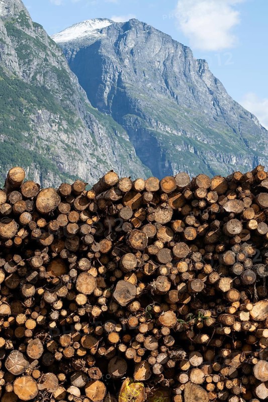 Logs, spruce logs, roundwood, storage, timber industry, mountains, Sunndalsøra, Tingvollfjorden, Sunndal Municipality, Møre og Romsdal Province, Norway