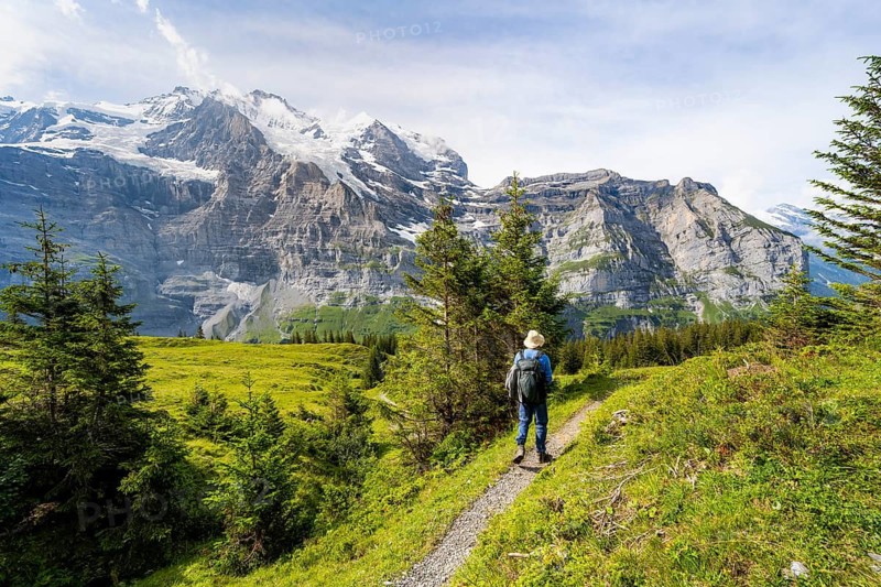 Hikers on a hiking trail on Mettlenalp, mountain panorama with peaks Eiger, Mönch and Jungfrau, Bernese Alps, Bernese Oberland, Switzerland