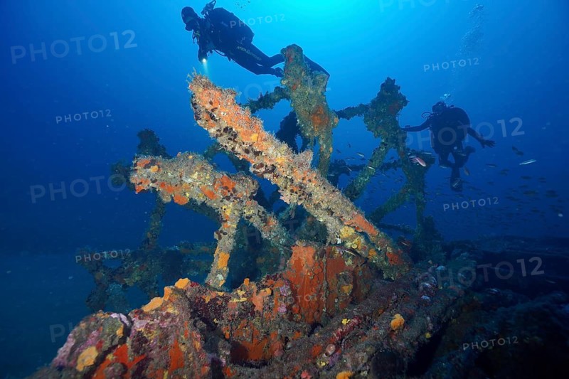 Divers float over an overgrown wreck in the deep blue sea, dive site Wreck Ville de Grasse, Hyères, Giens Peninsula, Mediterranean Sea, Porquerolles, Provence, Côte d'Azur, France