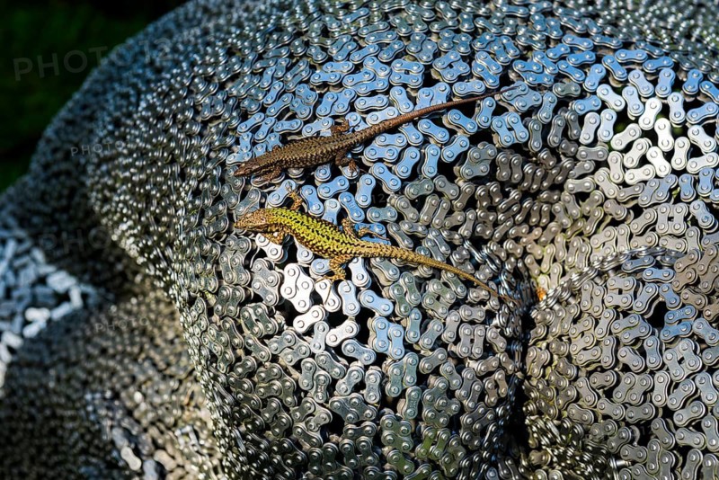 Botanical garden with sculptures in spring, lizards, artist Seo Young Deok, Light Garden, Andre Heller, Gardone Riviera, Lake Garda, Lake Garda, Province of Brescia, Lombardy Region, Italy
