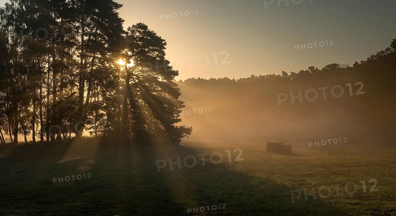 Barnim, Brandenburg, FFH area, Finow Valley, Finowtal-Pregnitzfließ, Germany, Natura 2000, Barnim nature park Park, Haze, Landscape, Nature Reserve, Nature Reserve, Fog, Summer, Sunrise, Mood, Sunrise